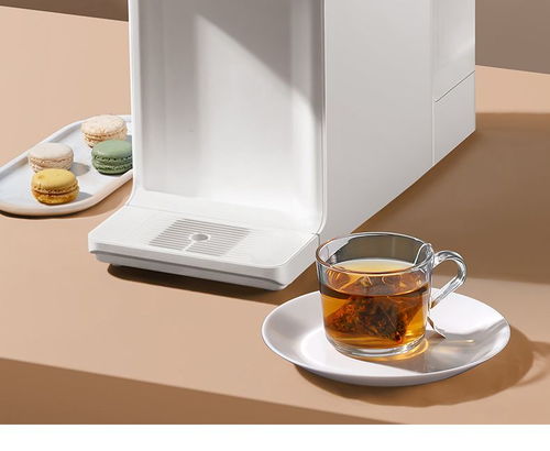 免安裝家用臺上式即熱式物聯(lián)網(wǎng)直飲凈飲冷熱一體反滲透凈水器純水機